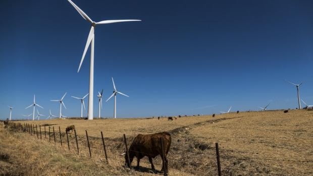 Las energías limpias pueden producir un 'efecto rebote' y aumentar el consumo