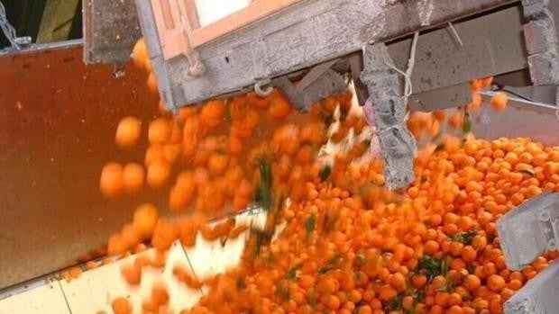 Análisis: «El campo, el gran indiferente»