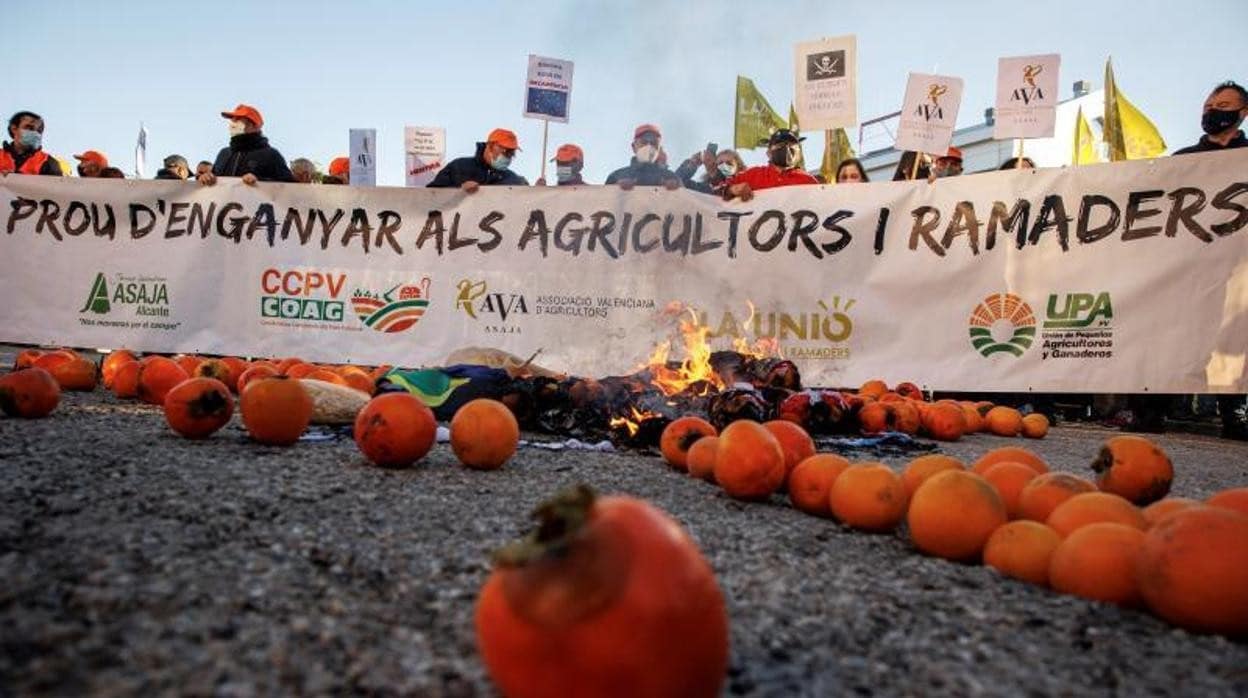 Protesta de los agricultores en Valencia este viernes 3 de diciembre