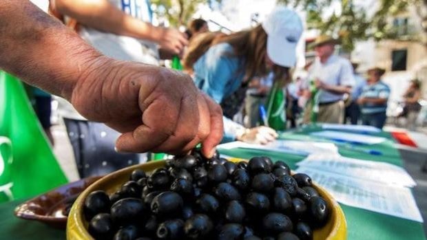 La aceituna negra, la ¿última? batalla comercial con Estados Unidos