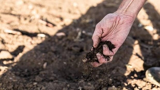 2021: El año que pudo ser, y no fue, el de la salida de la crisis en el campo