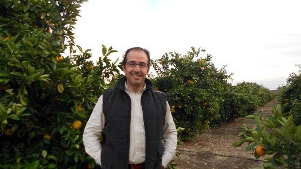 «La campaña de la naranja de este año se resume en dos palabras: ruinosa y nefasta»