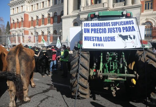 «Estamos en la ruina», el grito unánime de cientos de productores de leche contra los bajos precios en origen