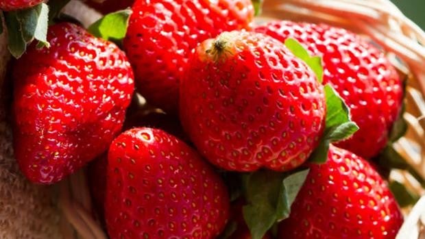 Comienza la temporada: los mejores trucos para elegir la fresa (de Huelva) perfecta