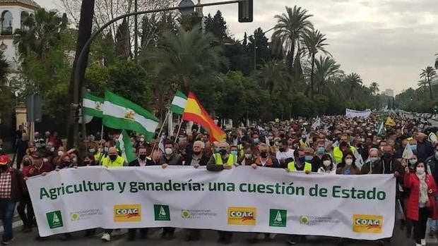 «Quieren acabar con el campo, y no lo vamos a consentir», el grito unánime de los agricultores andaluces