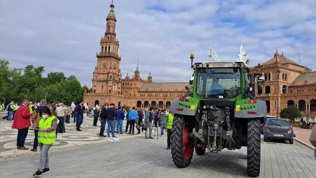 El campo andaluz sale a la calle para reivindicar que su crisis es un «problema de Estado»