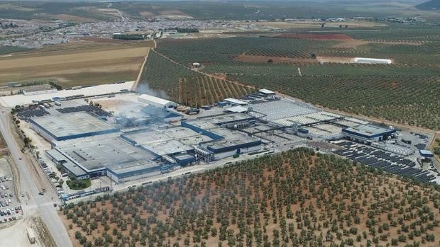 La nueva marca de Agrosevilla con la que prevé facturar un millón de euros