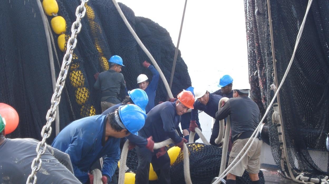 Actividad en una buque atunero perteneciente a Opagac