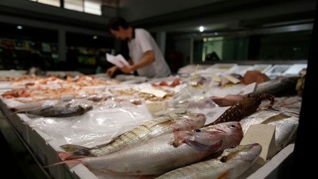 Anuncian desabastecimiento de pescado en Andalucía por el alto precio del carburante