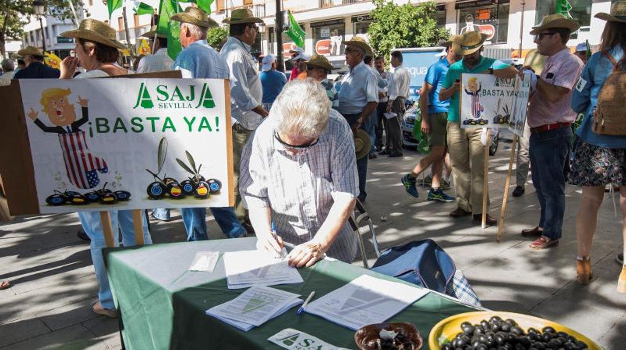 Los productores de aceituna de mesa perderán cinco millones diarios al parar su actividad desde este viernes