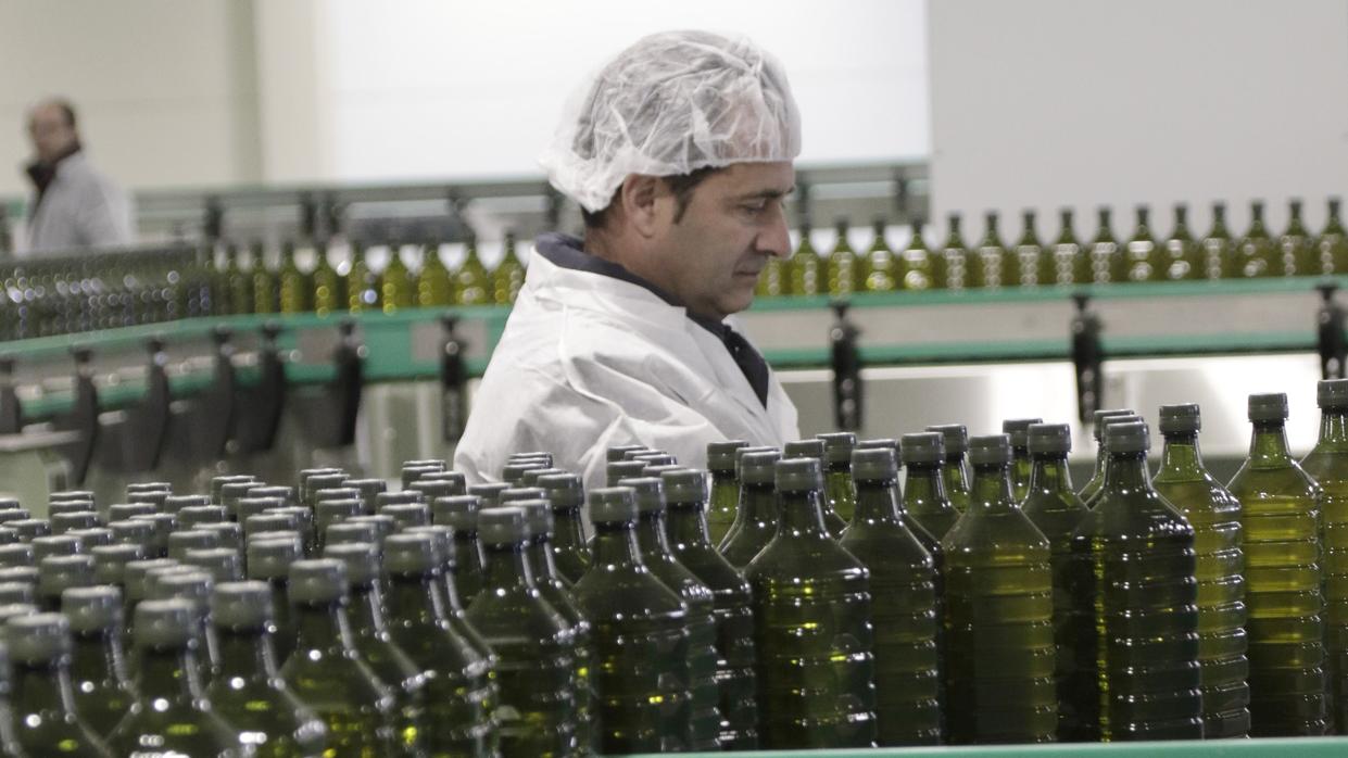 Envasadora de aceite en Andalucía