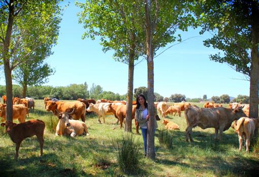 Carolina, con su ganado