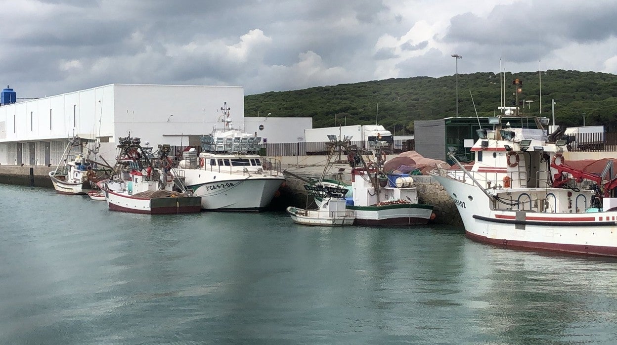 Las flotas de Andalucía y del Mediterráneo ya están amarradas y en el norte, la mayoría también han parado hasta la reunión de mañana con Planas