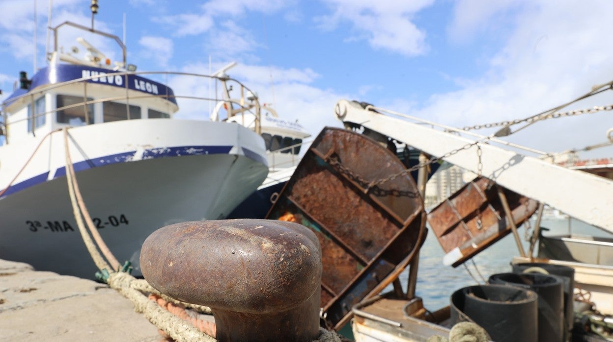 En Andalucía hay más de 1.500 embarcaciones dedicadas a la pesca