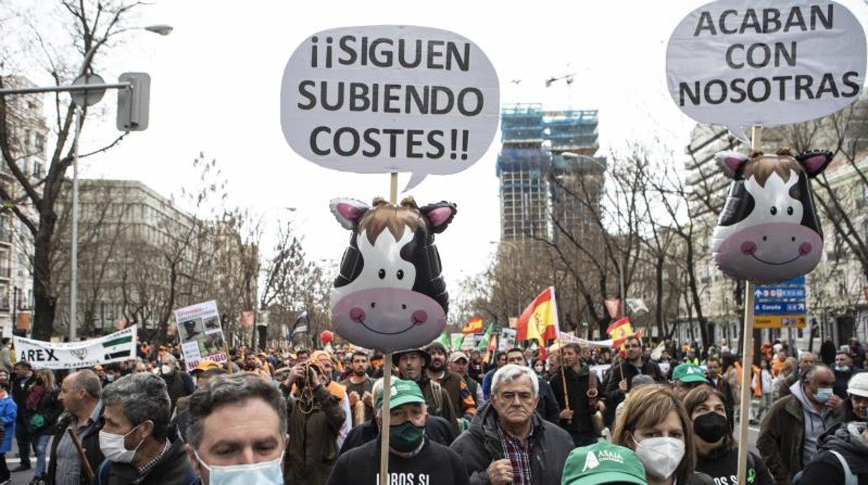Imagen de archivo de la gran manifestación del mundo rural celebrada en Madrid el pasado domingo 20 de marzo