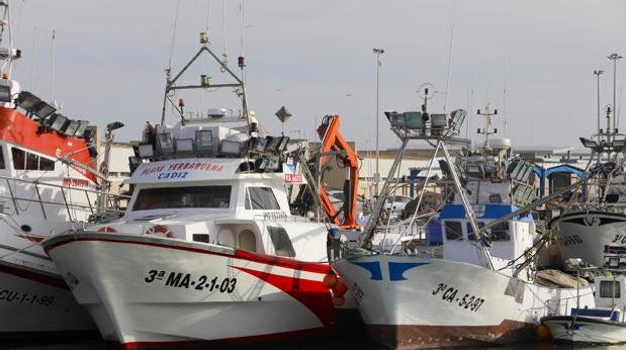 La flota pesquera de Barbate amarrada a puerto