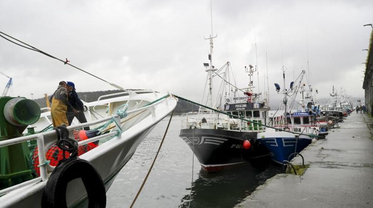 La flota pesquera recibirá un total de 50 millones de euros del Fondo Europeo Marítimo, de Pesca y Acuicultura (Fempa), de los que 20 millones irán a la acuicultura y los 30 millonres restantes a la pesca extractiva