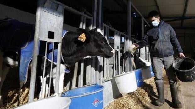 Un tercio de las ayudas al campo sale del bolsillo de los propios agricultores y ganaderos