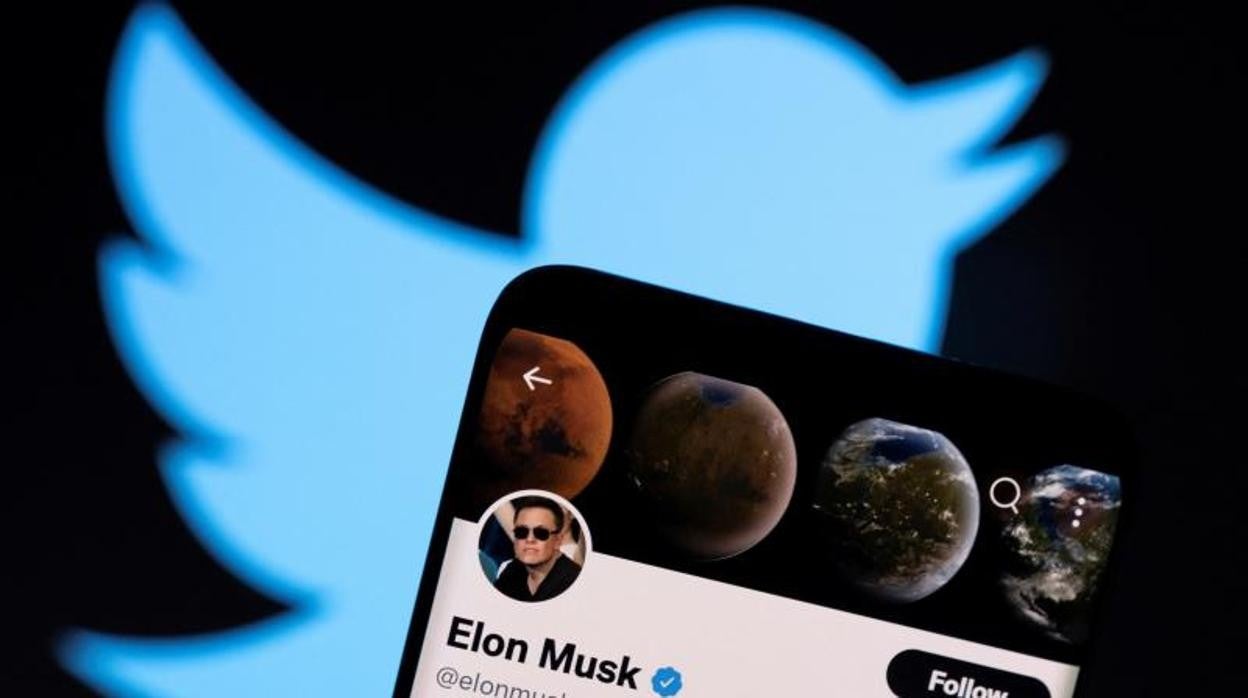 Una imagen que muestra el perfil de Elon Musk en Twitter