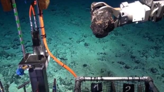 Un exuberante tesoro de minerales críticos en Canarias