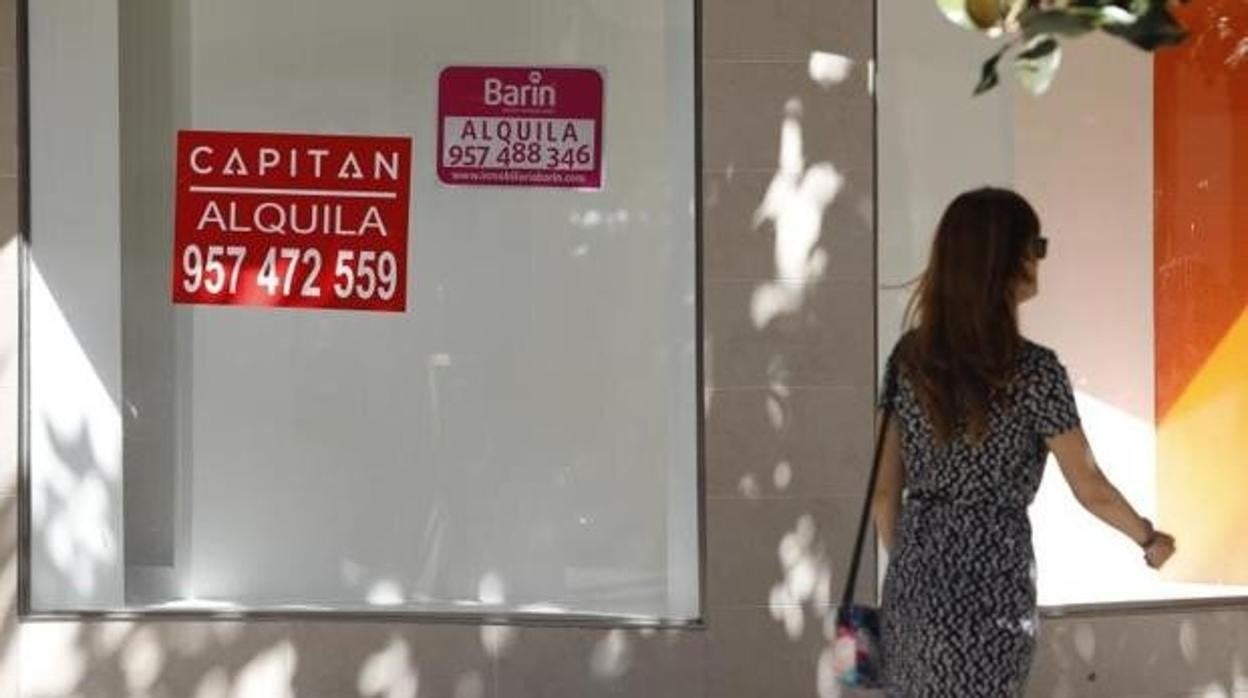 Los requisitos generales son la edad, los ingresos, el precio del alquiler