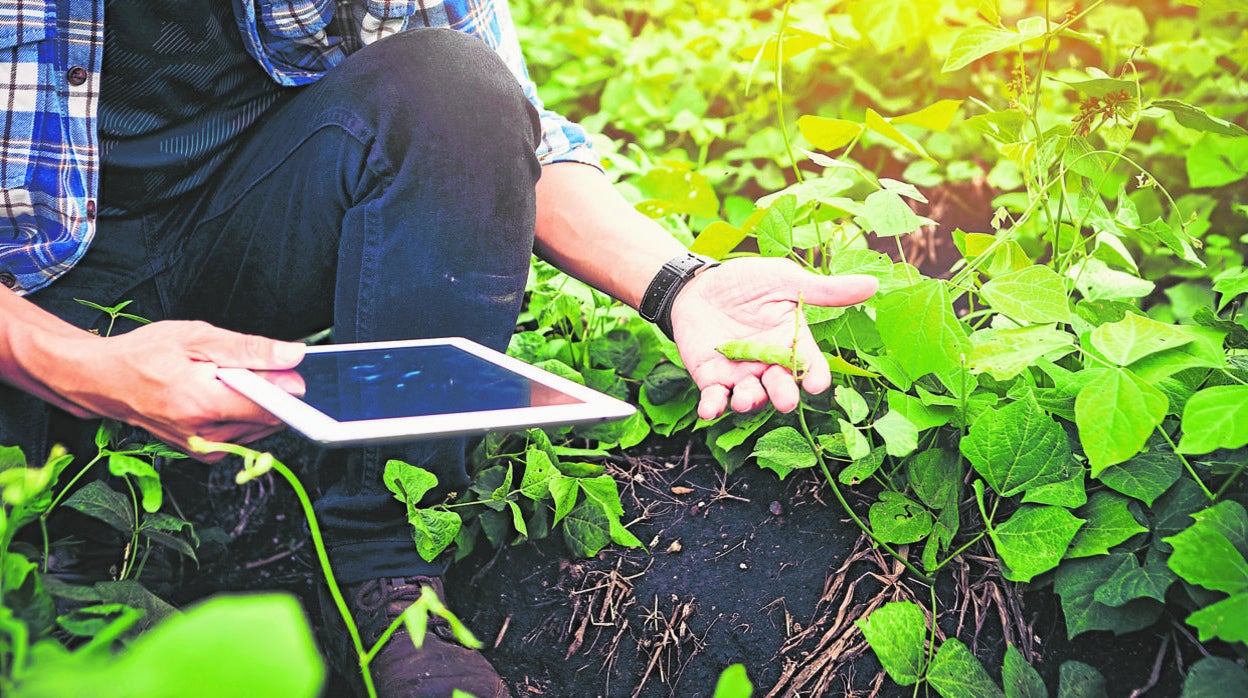 La Digitalizadora concurrirá al Perte Agroalimentario con proyectos de hasta 500 millones de euros // ABC