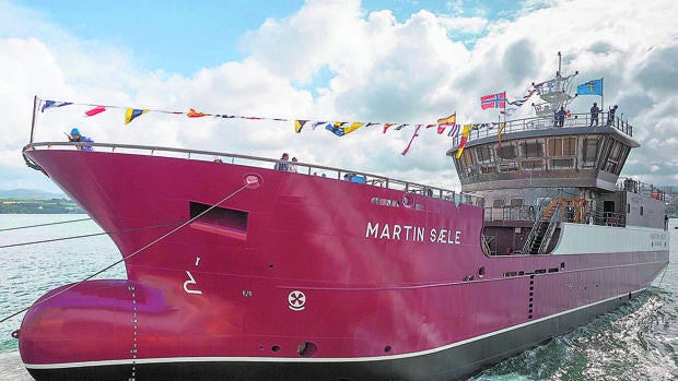 Innovación a toda máquina para mitigar el sufrimiento de los peces