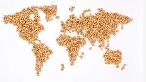 La crisis alimentaria desata una batalla por las despensas globales y los fertilizantes que son una bomba de relojería latente