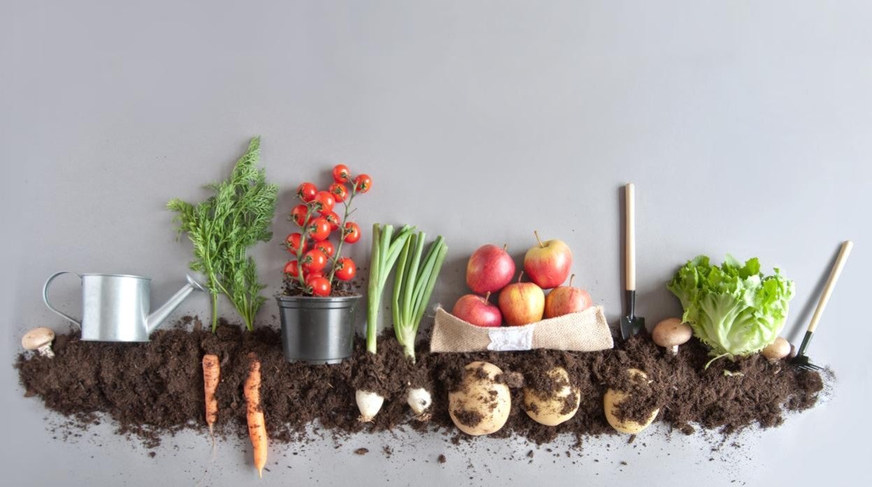 La comida ecológica ahonda sus raíces en plena cosecha de incertidumbre