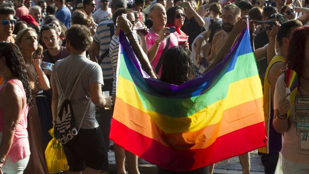 Una mujer sostiene la bandera gay, durante una manifestación