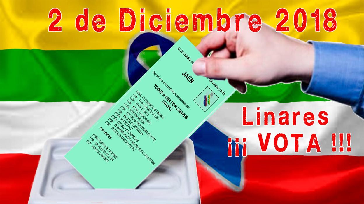 Cartel de la plataforma para promocionar el voto de protesta