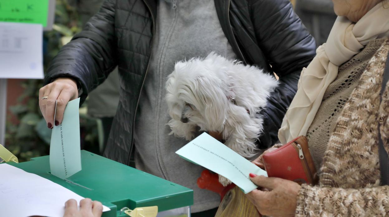 ABC de Sevilla publicará un sondeo electoral desde las 20 horas de este domigo electoral