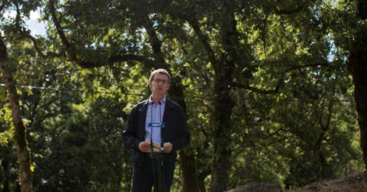 Alberto Núñez Feijóo, ayer en un acto electoral en Cenlle