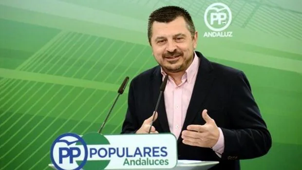 El PP acusa al PSOE de Juan Espadas de ser el partido «más antiandaluz de la historia»