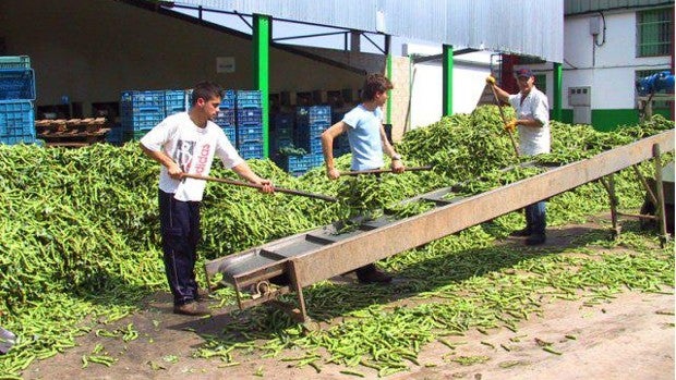 Viviendas por 15 euros al mes o trabajar cuatro días a la semana, las propuestas más extravagantes para el 19-J