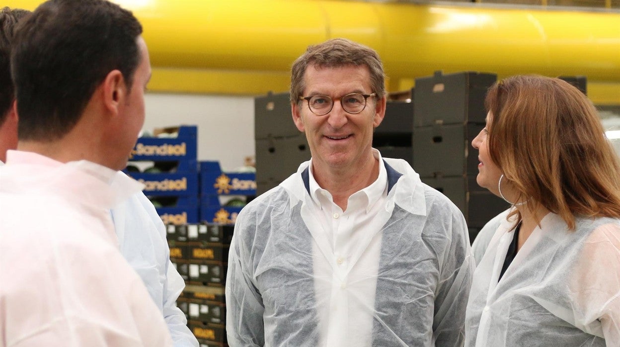 Alberto Núñez Feijóo durante su visita a la empresa agrícola Indasol en El Ejido.