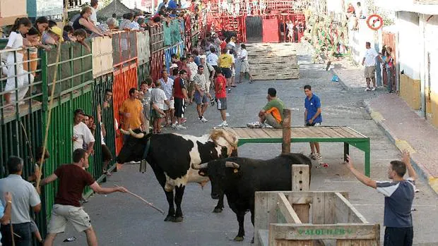 Imagen de archivo de un festejo de «bous al carrer»