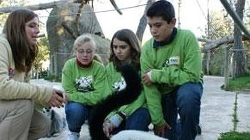 Los mejores planes para disfrutar de la Navidad en familia en Madrid