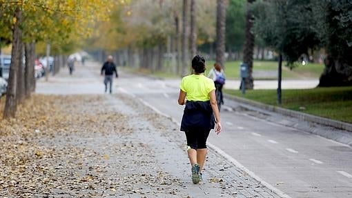 Cinco lugares donde practicar «running» en Valencia