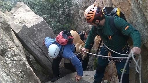 Los agentes han podido rescatar sin daños a Portos y su sueño