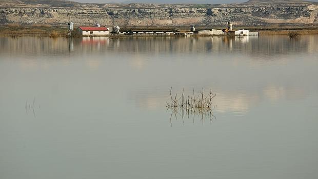 Consecuencias de la última crecida del Ebro