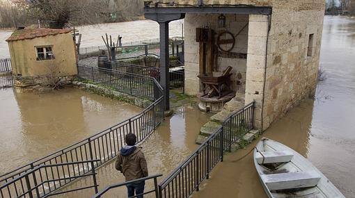 El río Duero, ayer, a su paso por Zamora