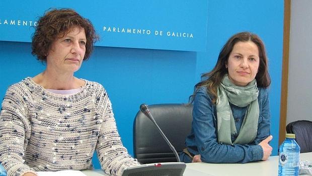 Martínez presentó a la nueva diputada del grupo mixto, Mónica Fernández