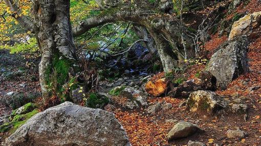 Mezcla de colores en el Faedo de Ciñera de Gordón