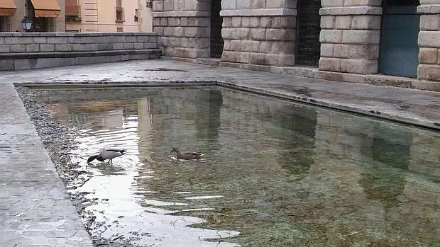 La fuente de Cristina Iglesias, un trozo de río donde los patos bajan a beber