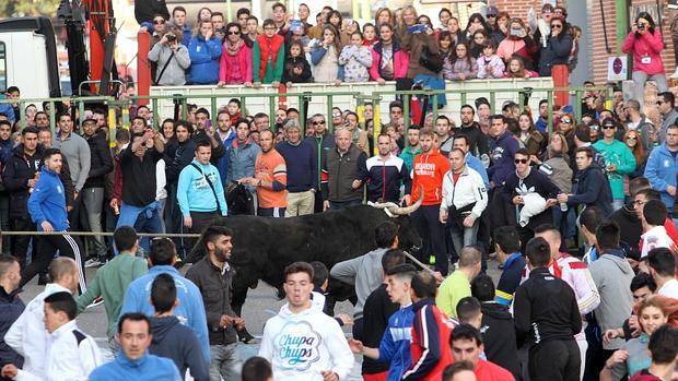 «Colibrí» hace grande el toro enmaromado de Yuncos