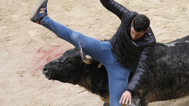 Un joven es tocado por un asta de toro durante los encierros de Ciudad Rodrigo