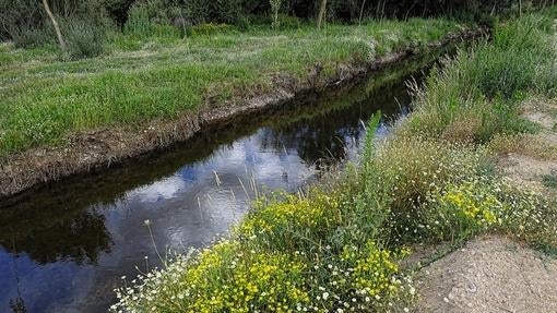 Riachuelo en la localidad salmantina de Huerta