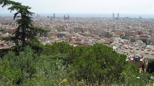 Vistas de Barcelona desde el Turó del Putget