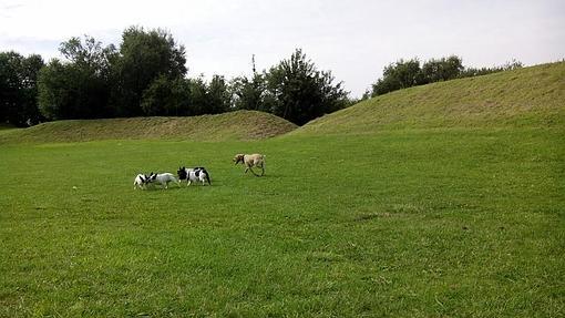 Lugares para visitar con animales en el País Vasco